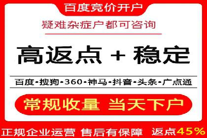 百度竞价赚钱的五大策略及成功案例解读